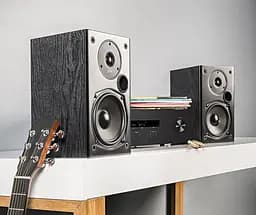 Порожнисті колонки Hi-Fi Polk Audio T 15 - мініатюра 4