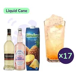 Коктейль Liquid Cane (набор ингредиентов) х17 на основе Tanduay Asian Rum Silver