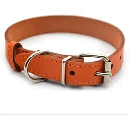 Нашийник для собак Zoo-hunt Весна шкіряний оранжевий 4,0/51-61 см
