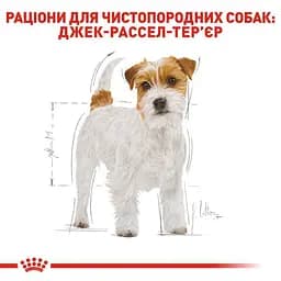 Сухий корм для дорослих собак породи Джек Рассел Тер'єр Royal Canin Jack Russell Adult, 0,5 кг (21000059) - мініатюра 2