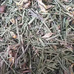 100 г льнянка обыкновенная трава сушеная - свежий урожай