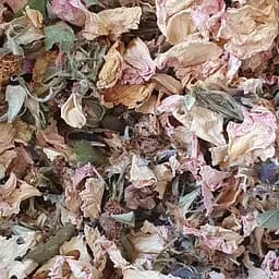 100 г шипшина цвіт сушений - свіжий урожай