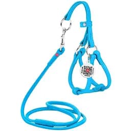 Шлей с поводком для собак Waudog Glamour кожаный с QR паспортом, круглый, голубой