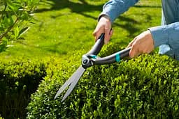 Ножиці для живоплоту Gardena PrecisionCut для фігурної стрижки (12302-20.000.00) - мініатюра 6