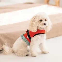 Шлея Monika ТМ Pet Fashion для собак XS2 червона - мініатюра 4