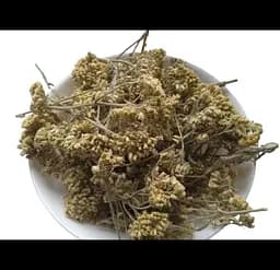 Деревій звичайний Цвіт Тисячолистник Кривавник Маточник Achillea millefolium