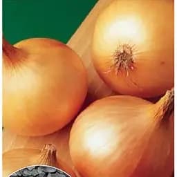 Насіння Весна на вагу Цибуля За один сезон ціна за 5 г (22101)