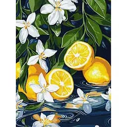 Картина по номерам "Лимон у розрізі" ©art_selena_ua KHO5733, 30х40 см