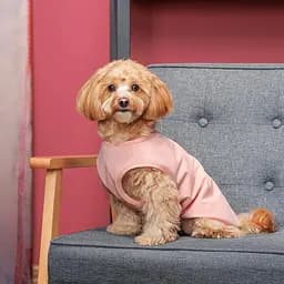 Боротьба Kale Pet Fashion для собак XS рожева - мініатюра 4