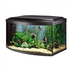 Акваріум Ferplast CAYMAN 80 SCENIC - 150 L 81.5 x 46 x h 52.5 cm - мініатюра 3