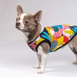 Майка-борцовка Pet Fashion Cool для собак, розмір M, з принтом - мініатюра 5