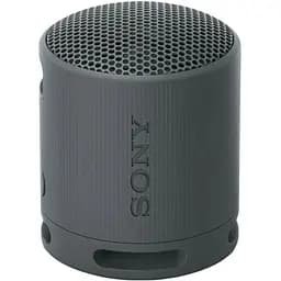 Портативная колонка Sony SRS-XB100 Black (SRSXB100B)