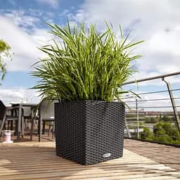 Вазон Lechuza Cottage Cube, 12 л, мокко (15375) - мініатюра 5