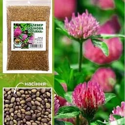 Конюшина "Рубінова поляна" 100г (19322)