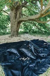 Комплект постельного белья сатин 100% хлопок Black Silk черный - двухспальный