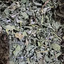 100 г марь звичайна (лобода) трава сушена — свіжий урожай