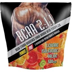 Аминокислота Power Pro BCAA 500 грамм Фруктовый пунш