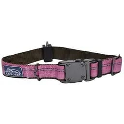 Нашийник для собак Coastal k9 Explorer нейлон 2,5 x 30-46 см