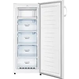 Морозильна камера Gorenje FN4172CW - мініатюра 2