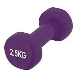 Гантель виниловая PowerPlay 4125 Achilles 2.5 кг Фиолетовый 1 шт (PP_4125_2.5kg)