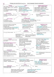 Історія України. Опорний конспект. Повний курс у 49 таблицях для підготовки до ЗНО і НМТ. 2025 - мініатюра 4