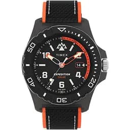 Годинник Timex Tx2v66100
