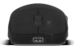 Миша ENDGAME GEAR OP1w 4k v2 Black (Transparent) (PGW-EG-MOU-073) - мініатюра 10