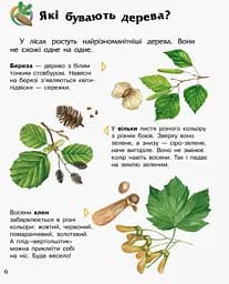 Енциклопедія дошкільника (нова) Видавництво Ранок Ліс - мініатюра 6