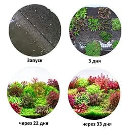 Грунт для акваріума Aquario Neo Soil Plant 3 л (neo-soil-plant-3) - мініатюра 6