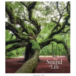 Зошит учнівський "The Sound of life" Star 048-3347K 48 аркушів (482000647644103347)(SC)