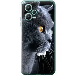 Чехол EndorPhone силиконовый Xiaomi Redmi Note 12 5G Красивый кот (3038u-2934-26985)