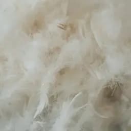 Подушка пухова MirSon Raffaello White 200 м'яка 40х60 см (2200000060488) - мініатюра 14