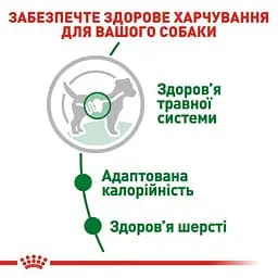 Вологий корм Royal Canin Mini Adult для дорослих собак дрібних порід 85 г (10960019) - мініатюра 3