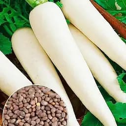 Дайкон "Структуратор" ТМ "Весна"  10г (177357)