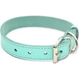 Нашийник для собак Zoo-hunt Весна шкіряний аквамарин 4,0/51-61 см