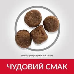 Сухий корм Hill’s SP Puppy Medium Breed для цуценят середніх порід з куркою 14 кг - мініатюра 4