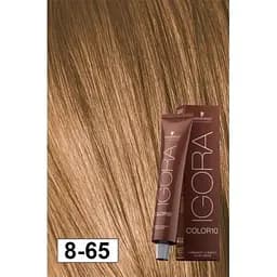 Фарба для волосся Schwarzkopf Igora Color10 New, відтінок 8-65 (світлий блонд шоколадно-золотистий), 60 мл (2682623) - мініатюра 2