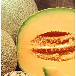 Семена Весна на развес Дыня Ананас цена за 5 г (35704)