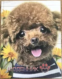 Щоденник шкільний, 165x208 мм, обкладинка 7БЦ, 40 аркушів, SD1704