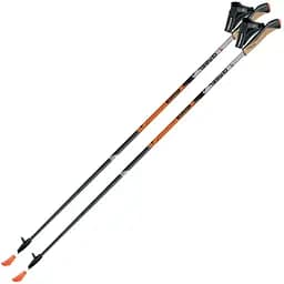 Палиці для скандинавської ходьби Gabel X-1.35 Active Knife