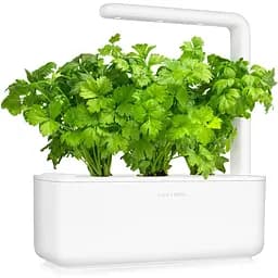 Змінний картридж Click & Grow Листова селера (3948) - мініатюра 3