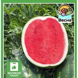 Насіння Весна Кавун Ау Продюсер Великий пакет 4 г (32564)