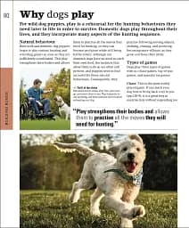 The Beginner's Dog Training Guide - мініатюра 3