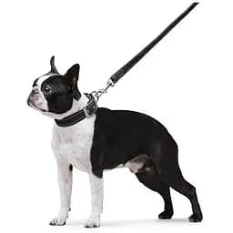 Повідець Dog Extreme з нейлону подвійний (ширина 20мм, довжина 122см), чорний - мініатюра 6