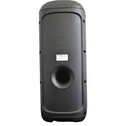 Портативна колонка ZPX ZXX-5505 з мікрофоном Акустична система 40Вт 6,5" RGB підсвічування Чорний - мініатюра 3