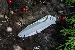Ніж cкладний Ruike P128-SF, Сріблястий - мініатюра 8
