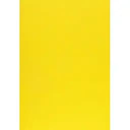 Набор фетра Santi жесткий 21 х 30 см 10 листов желтый (740406)