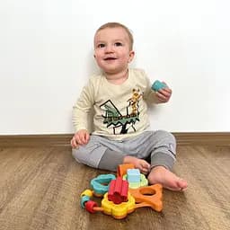 Сортер Chicco Баобаб (10493.00) - мініатюра 7