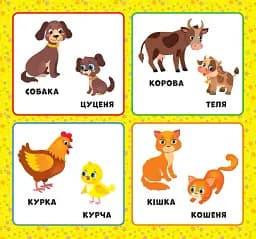Перша книжка малюка. Хто моя мама? - мініатюра 2