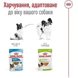 Набір вологий корм для дорослих собак мініатюрних розмірів Royal Canin X-Small Adult шматочки в соусі 1.02 кг (12 шт.  х 85 г) - мініатюра 5
